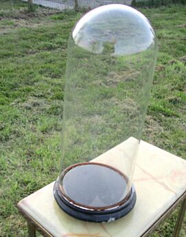 Antique Round Hand Blown Glass Globe Dome Taxidermy Steampunk Display 18.11"