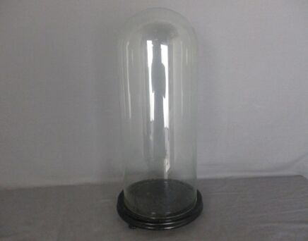 antique Round Hand Blown Glass Dome Globe Steampunk Display 17.71" D 7.04"