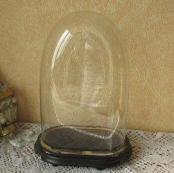 Antique Oval Glass Globe Dome Bell Cloche Display Hand blown Steampunk 13.5"