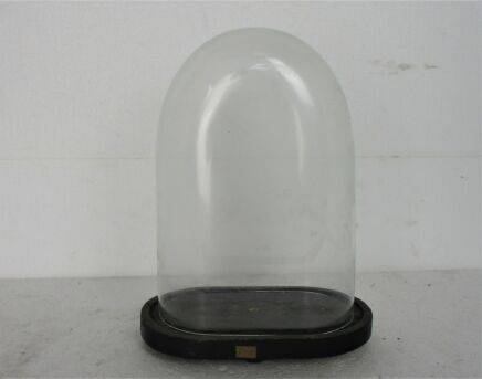 Antique Victorian Oval Hand Blown Glass Globe Dome Doll Clock 11.02" H 7.67"W