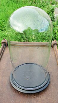 Antique Round Hand Blown Glass Globe Dome Taxidermy Steampunk Display 14.56"