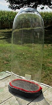 Xl Victorian Antique Oval Display Glass Dome Globe Mantel Clock doll 20.70"