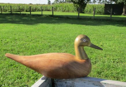 Lovely wooden Duck Solid Brass head Decoy