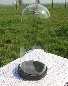 Antique Round Hand Blown Glass Globe Dome Taxidermy Steampunk Display 14.76"