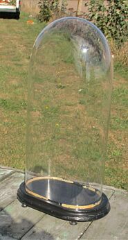 Xl Victorian Antique Oval Display Glass Dome Globe Mantel Clock doll 20.47"