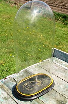 Xl Victorian Antique Oval Hand Blown Glass Dome Globe Mantel Clock 20.45"