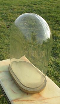 Vintage Oval Glass Globe Dome Bell Cloche Display Taxidermy Steampunk 14.17"
