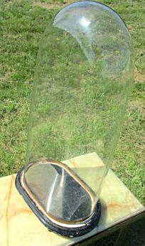 Antique Victorian Oval Hand Blown Glass Globe Dome Display Doll Steampunk 21.85"