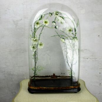XL Antique Victorian Rectangular Square Hand Blown Glass Globe Dome HTF 26.18"