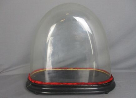 Antique Victorian Oval Hand Blown Glass Globe Dome Doll Clock 14.96" H 17.28"!!