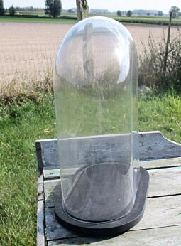 Victorian Antique Oval Display Glass Dome Globe Mantel Clock doll 16.34"
