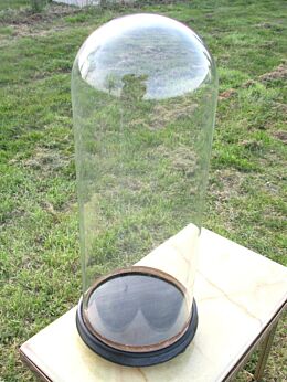 Antique Round Hand Blown Glass Globe Dome Taxidermy Steampunk Display 19.69"