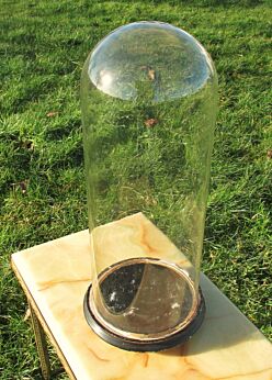 Antique  Round Hand Blown Glass Globe Dome Taxidermy Steampunk Display