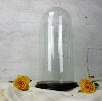 Antique Round Hand Blown Glass Globe Dome Taxidermy Steampunk Clock 14.1"