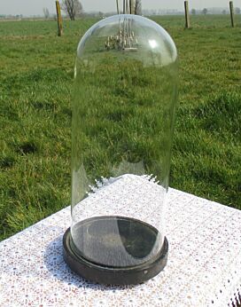 Antique Round Hand Blown Glass Globe Dome Taxidermy Steampunk Display 11.81"