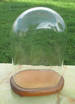 Vintage Oval Glass Globe Dome Bell Cloche Display Hand blown Taxidermy Clock doll antique supply