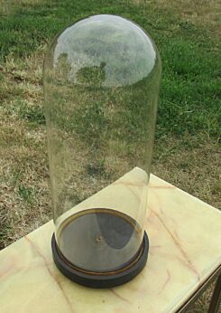 Antique Round Hand Blown Glass Globe Dome Taxidermy Steampunk Display 14.72"