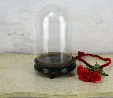 Small Antique Round Hand Blown Glass Globe Dome Taxidermy Steampunk Sweet 8.26"