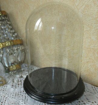 Antique Round Hand Blown Glass Globe Dome Taxidermy Steampunk Display 10.63"