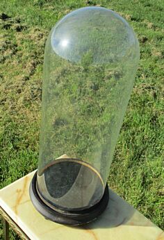 Antique Round Hand Blown Glass Globe Dome Taxidermy Steampunk Display 19.29"