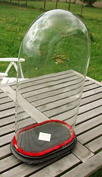 Xl Victorian Antique Oval Hand Blown Glass Dome Globe Mantel Clock doll 20.2"