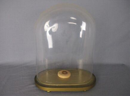 Antique Victorian Oval Hand Blown Glass Globe Dome Doll Clock 15.55 H 12.4"W