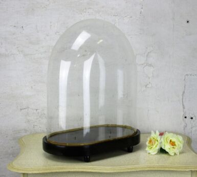 Victorian Antique Oval Hand Blown Glass Dome Globe Display Steampunk 14.5"