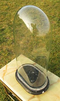 L Antique Victorian Oval Hand Blown Glass Globe Dome Taxidermy clock Steampunk Display 18.1"