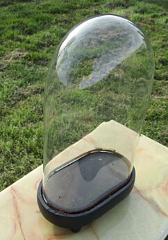 Antique Victorian Oval Hand Blown Glass Globe Dome Taxidermy Steampunk 12.01"