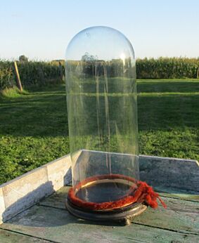 Antique Round Hand Blown Glass Globe Dome Taxidermy Steampunk Display 15.75"