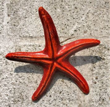 Seastar Modernist Ceramic Wall Plaque era Perignem Amphora Vallauris