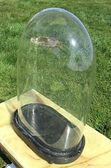 Antique Victorian Oval Hand Blown Glass Globe Dome Display Doll Steampunk 14.57"