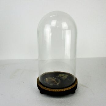 Small Vintage Round Hand Blown Glass Globe Dome Taxidermy Steampunk Clock 10.2"