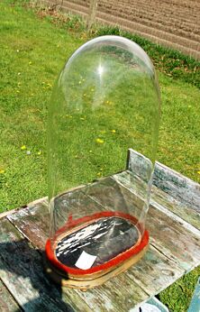 Xl Victorian Antique Oval Hand Blown Glass Dome Globe Mantel Clock 19.85"