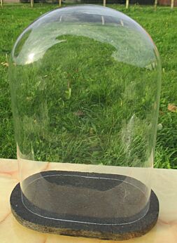 Small  Vintage oval Glass Globe Dome Bell Cloche Display Hand Made Taxidermy Clock Steampunk