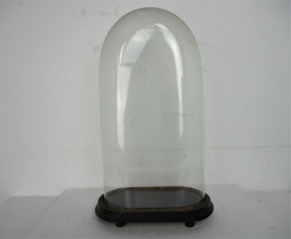 L Antique Victorian Oval Hand Blown Glass Globe Dome Clock Steampunk 19.68"
