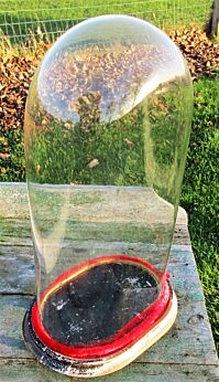 Antique Victorian Oval Hand Blown Glass Dome Globe Mantel Clock Steampunk 17.72"