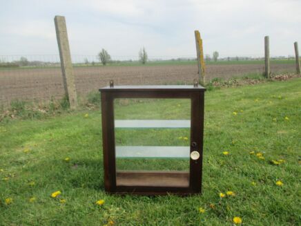 Small Vintage Showcase Glass Wood Wall Hanging Cabinet
