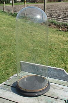 Antique Round Hand Blown Glass Globe Dome Taxidermy Steampunk Display 19.48"
