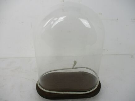 Antique Victorian Oval Hand Blown Glass Globe Dome Doll Clock 15.94" H 12.28"W