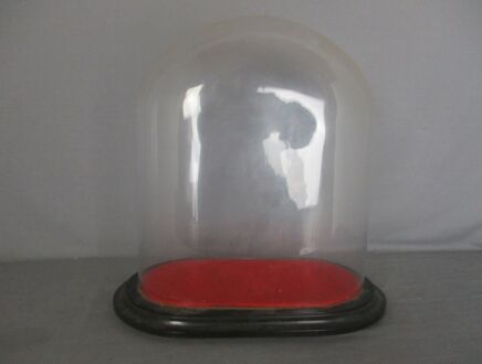 Antique Victorian Oval Hand Blown Glass Globe Dome Doll Clock 13.93"H 12.20"W