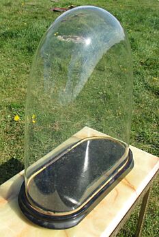 Antique Victorian Oval Hand Blown Glass Globe Dome Display Mantel Clock Doll Steampunk 15.75"