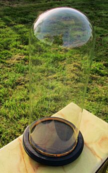 Antique Round Hand Blown Glass Globe Dome Taxidermy Steampunk Display 17.91"