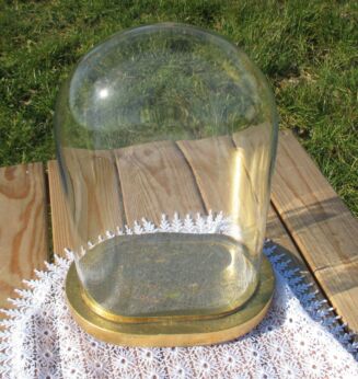 Vintage Oval Glass Globe Dome Bell Cloche Display Taxidermy Steampunk 11.42"