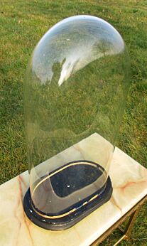L Antique Victorian Oval Hand Blown Glass Globe Dome Taxidermy clock Steampunk Display 18.11"