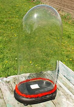 Xl Victorian Antique Oval Hand Blown Glass Dome Globe Mantle Clock 19.1"