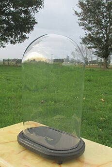 Vintage oval Glass Globe Dome Bell Cloche Display Hand Made Taxidermy Steampunk