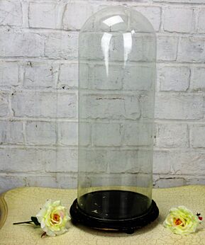Antique Victorian Round Hand Blown Glass Globe Dome Taxidermy Steampunk 18.70"