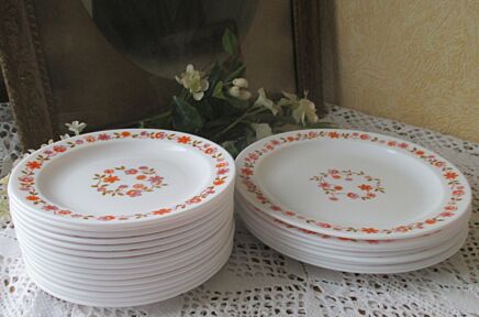 Vintage Retro Arcopal Plates Scania Pattern Orange Flowers 23 Pieces