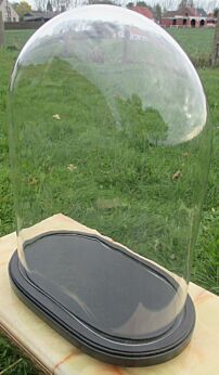 Antique Victorian Oval Hand Blown Glass Globe Dome Taxidermy Steampunk Display